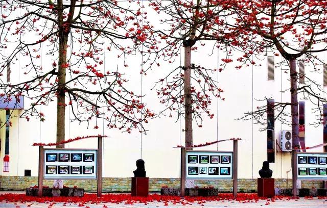 柳州市第十二中学静兰校区,柳州第十二中学文昌校区