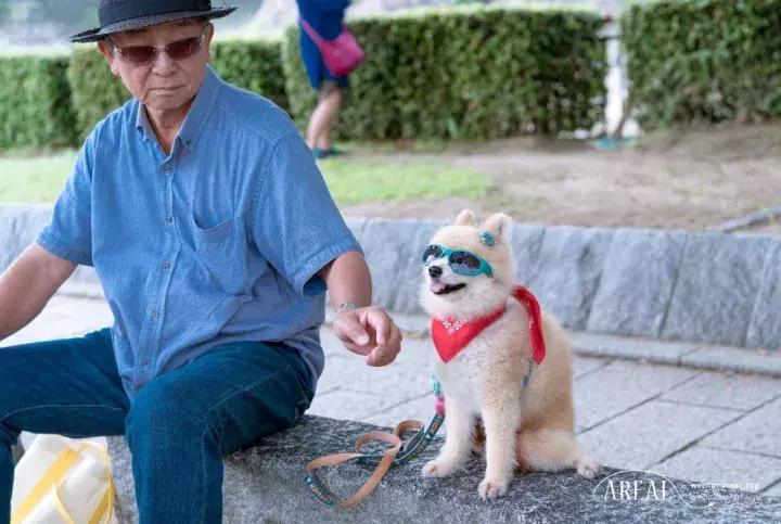 日本大阪旅游三天,大阪玩转日本6天5晚跟团游