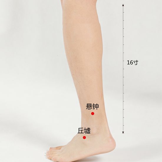 人体穴位大全全身高清穴位图,全身最重要的74个穴位讲解附图