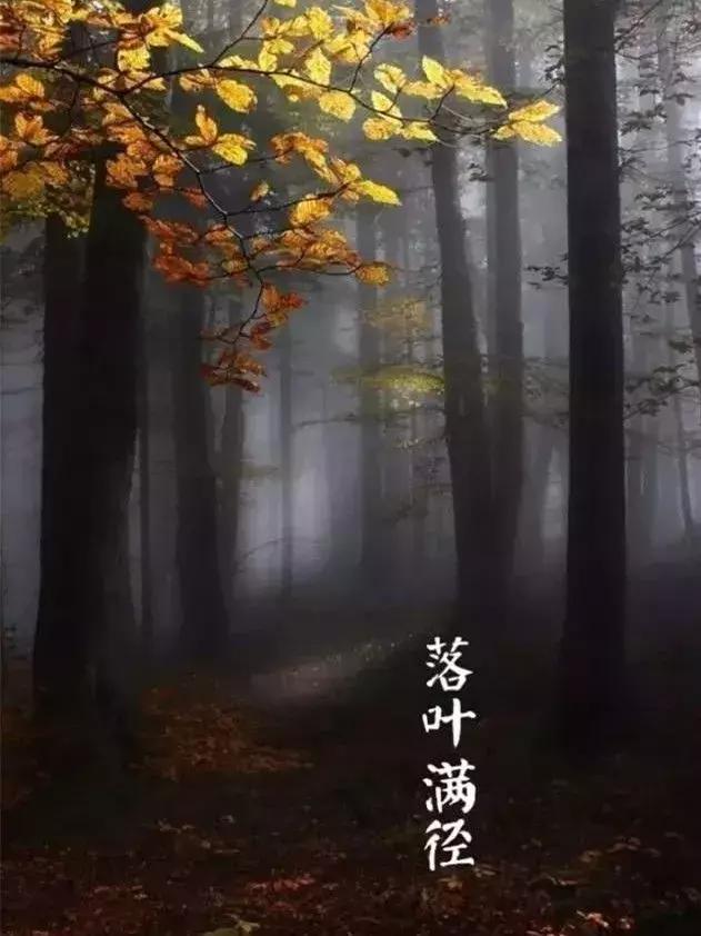 33首名作，尽现大唐荣耀289年