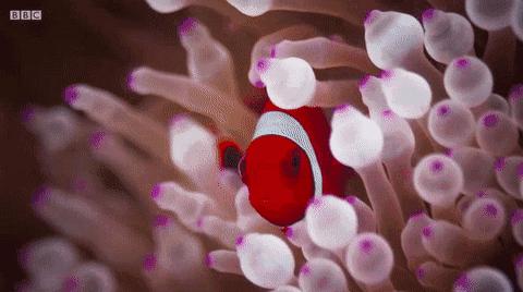 等了你十七年,等了17年