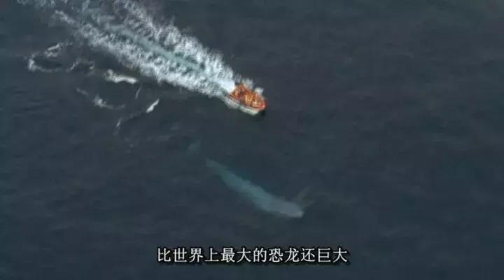 等了17年,等了你十七年