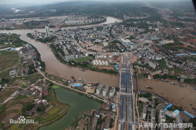 兴宁区三塘镇乡村振兴工作计划,南宁市西乡塘区产业扶贫