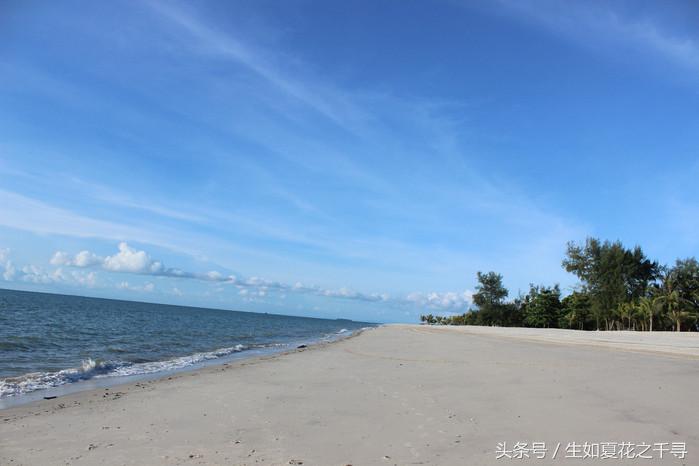 去兰卡威逗小鲨鱼，登嘉楼热浪岛浪一浪