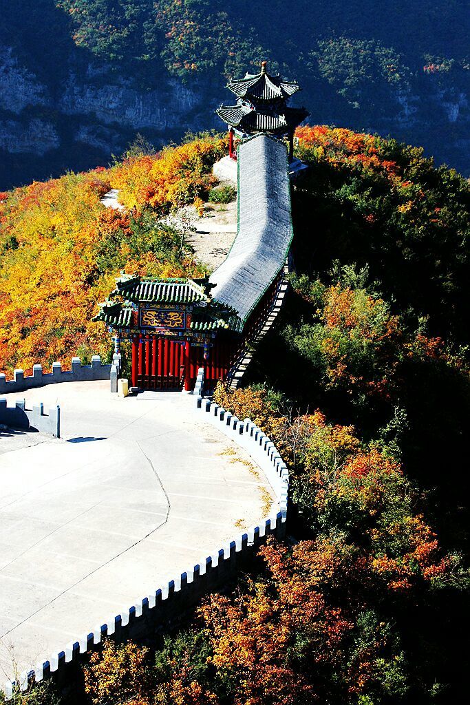 秋韵流过的晋城红