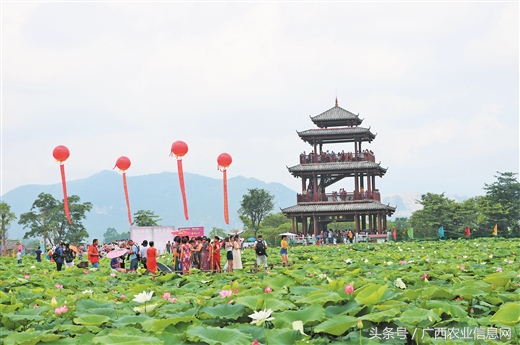 兴宁区三塘镇乡村振兴工作计划,南宁市西乡塘区产业扶贫