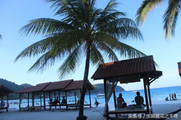 去兰卡威逗小鲨鱼，登嘉楼热浪岛浪一浪