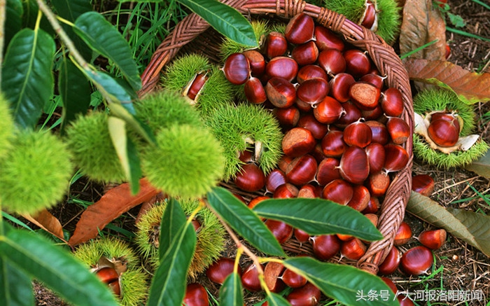 励志哥乞讨月入过万,励志哥一年收入