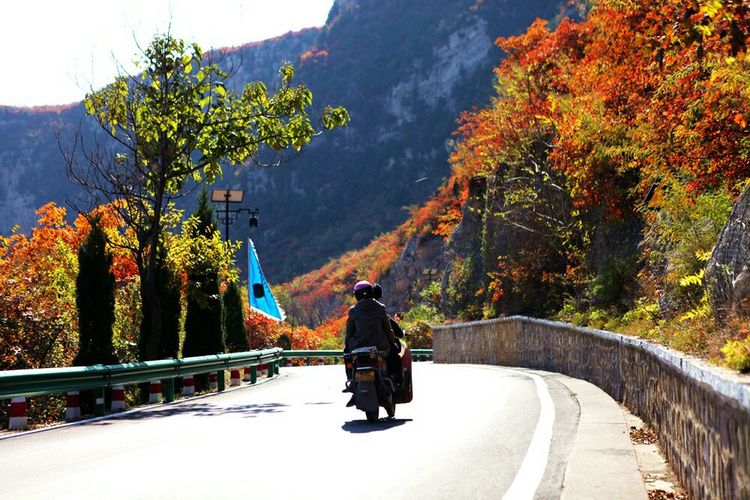 秋韵流过的晋城红