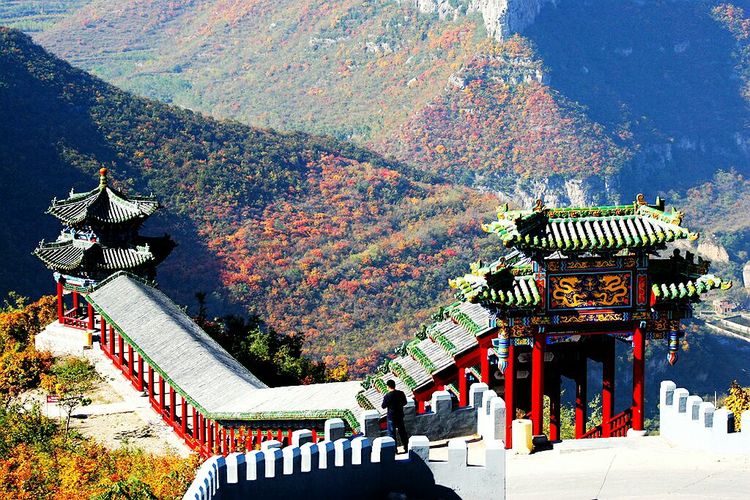 秋韵流过的晋城红