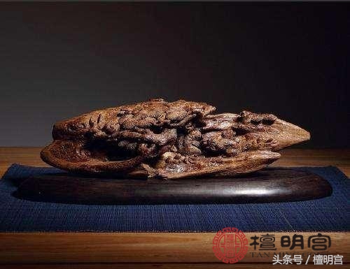 小小一棵价值上万奇楠沉香,木中钻石奇楠沉香比黄金燕窝还贵