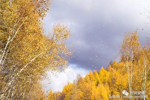 秋冬卫衣推荐重磅,秋冬款重磅卫衣推荐