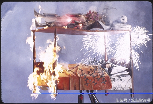 痛苦，疯狂和理性，《弗里达》观后