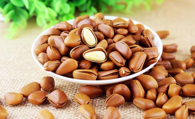 捡漏儿长白山大松子,我们一起来挖宝视频