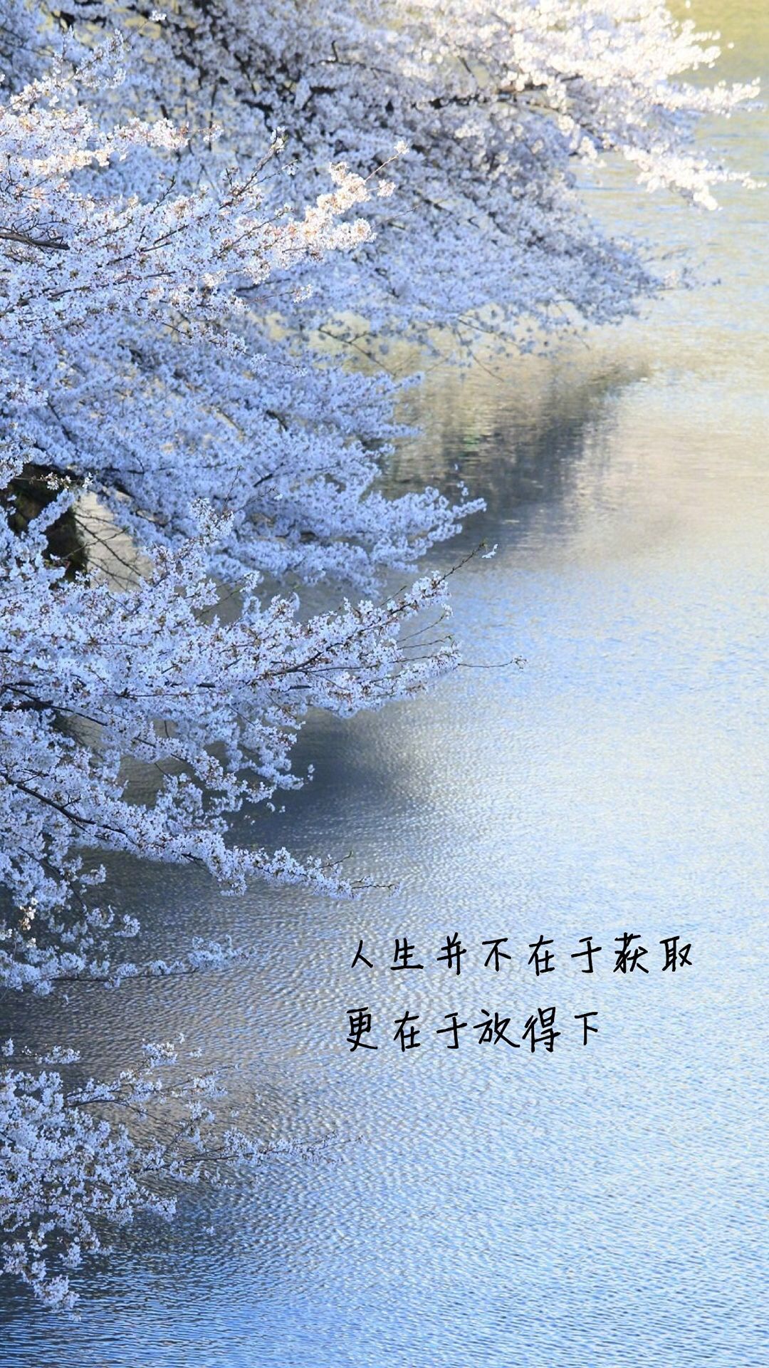唯美1080×1920P高清壁纸锁屏画面待机背景图！请在wifi环境查看