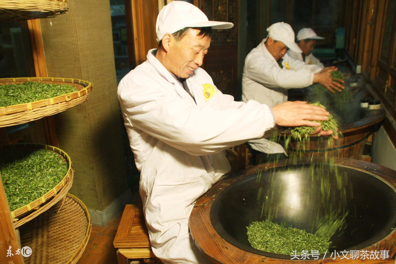 什么茶叶养生茶最有效 (哪种茶叶最好喝最健康养生)