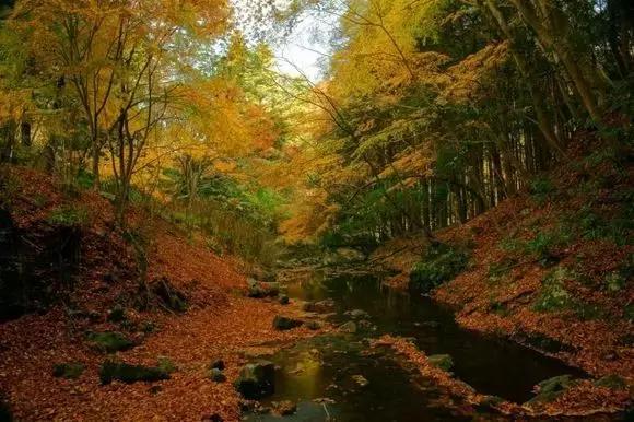 百川论道董仲舒,百川论道于谦