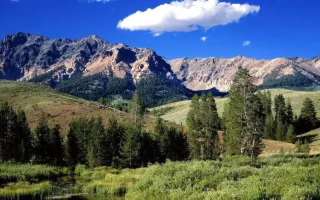 百川论道董仲舒,百川论道于谦
