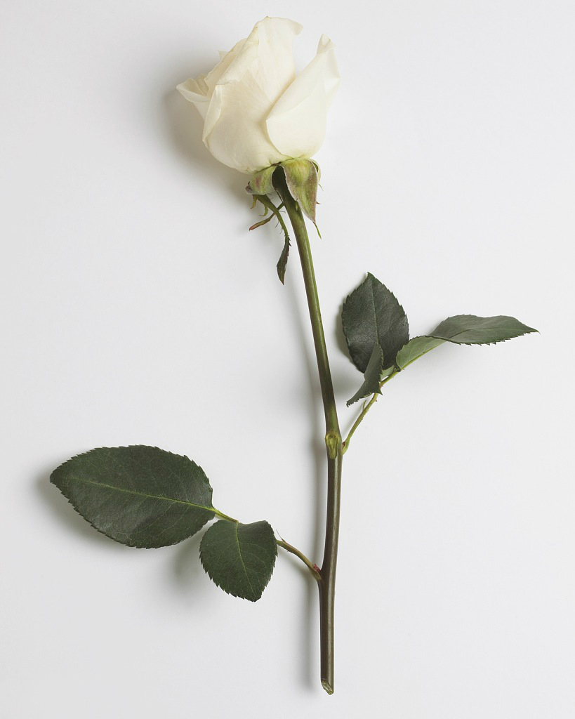 白带过少怎么调理,白带过多要怎么治疗