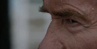 史泰龙和施瓦辛格合作的老电影,史泰龙和施瓦辛格演的银幕硬汉