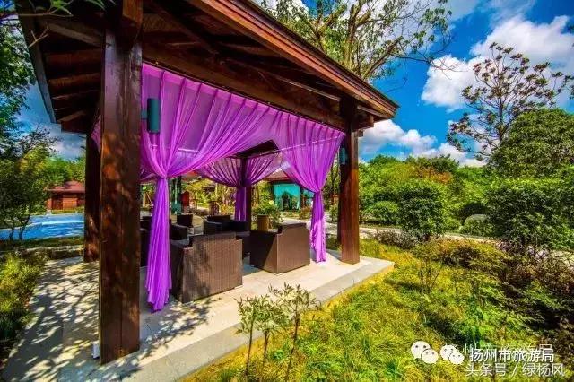 有一种幸福叫我在广西,有一种幸福叫我在天津