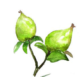 秋冬季节让你的皮肤更保湿,秋冬皮肤变得干燥