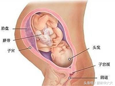 36周开始尿频是要生了吗,32周尿频是快生了吗