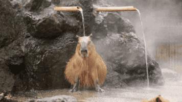 娌冲崡娓╂硥搴﹀亣鏉戞帓鍚嶆鍛ㄨ竟,娌冲崡鍝噷鐨勬俯娉夋槸瀹跺涵寮忕殑