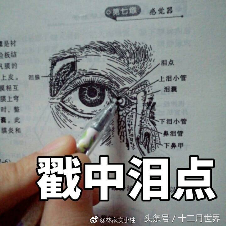 妹子们，冬天来了，你们准备给衣柜大清仓补货了吗？