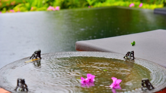 谁陪我度过安达拉的迷人夜