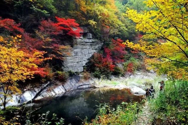 新鲜出炉~赏枫HOT！百名摄影家齐聚庄河天门山
