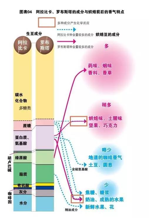咖啡罗布斯塔口感介绍,喝罗布斯塔咖啡的感受