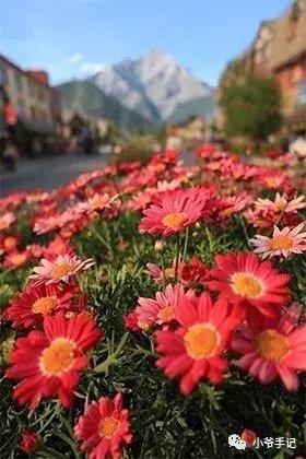 佳能g1xmarkii过时了吗,佳能g1xmark3与g7x2