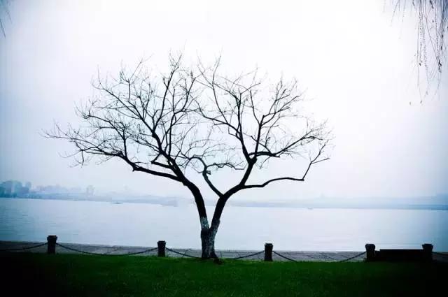 照片如何修出高级感,简约照片如何修