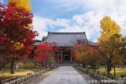 在日本最美的地方生活,在日本无拘无束做自己