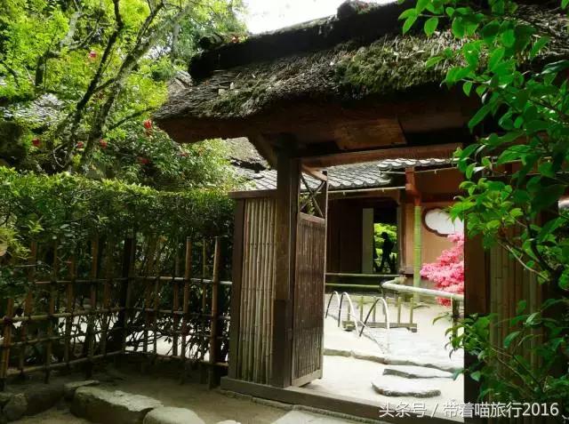 在日本最美的地方生活,在日本无拘无束做自己