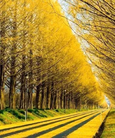 杭州布局北斗七星,著名的北斗七星地标