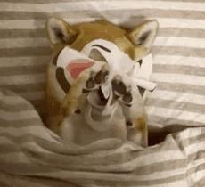 敷面膜后加什么保养效果最好,换季皮肤起皮好用的修复补水面膜