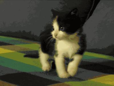 冷到想穿秋裤？《妈妈请放心》中外特辑萌娃制造小太阳为你升温！