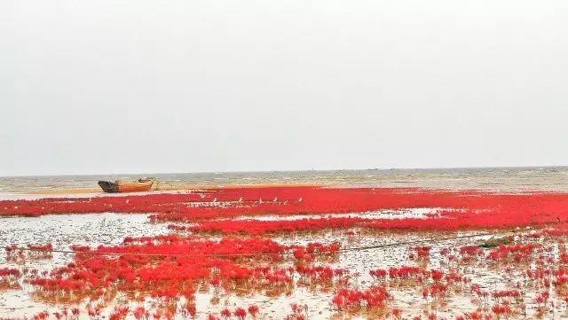 长城wey怎么样,长城wey2022款混动版