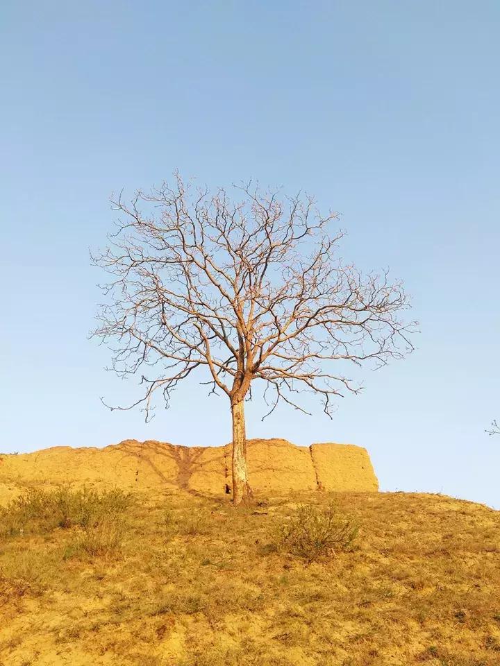 照片如何修出高级感,简约照片如何修