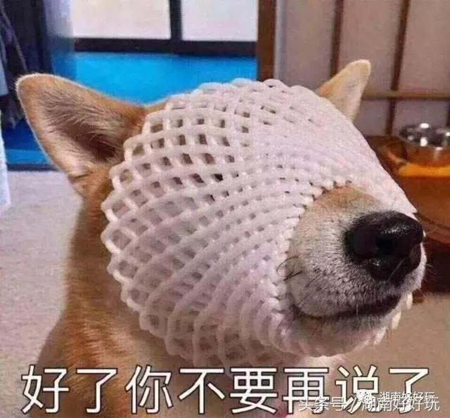 长沙密室逃脱长藤鬼校,长沙步行街密室逃脱推荐地点