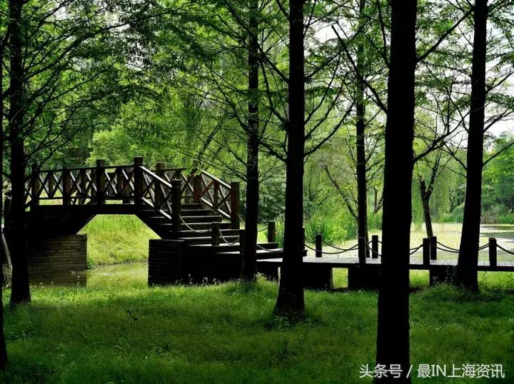 上海免费景点排行榜前十名,2022春节上海景点免费开放