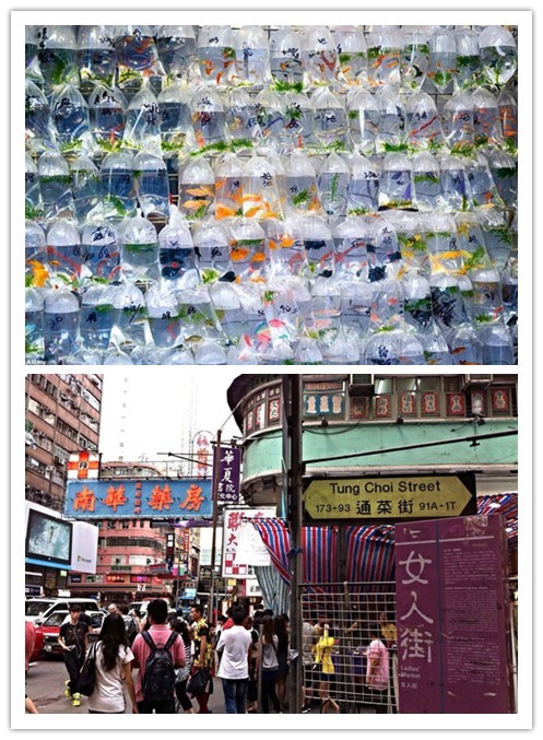 香港购物全攻略去哪儿买买买,香港购物超强攻略