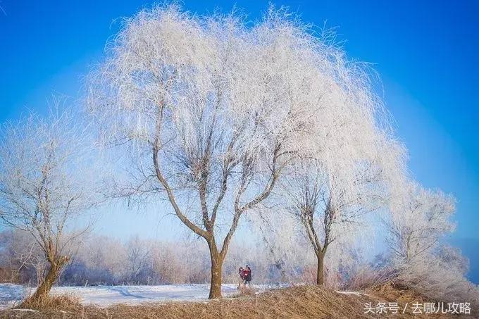 吉林长白山景区门票多少钱,吉林长白山风景区门票政策