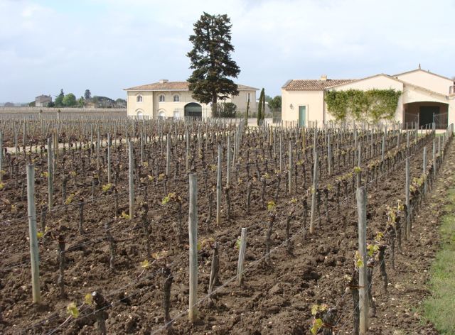 波尔多顶级葡萄酒,波尔多最贵的葡萄酒