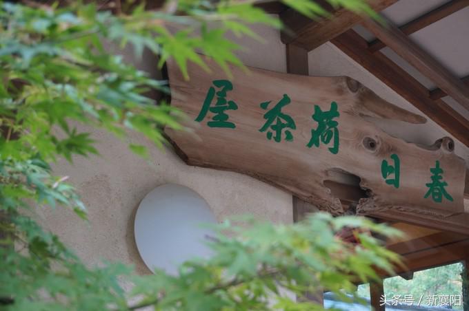 带娃去日本一周自由行,带四岁孩子去日本穷游攻略