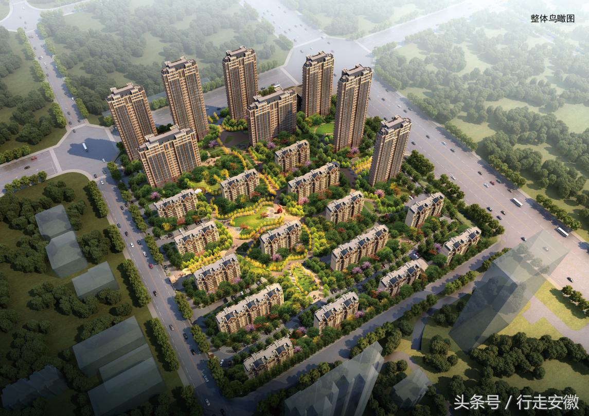 文一杨平：看好合肥北城发展前景以更高品质回馈业主