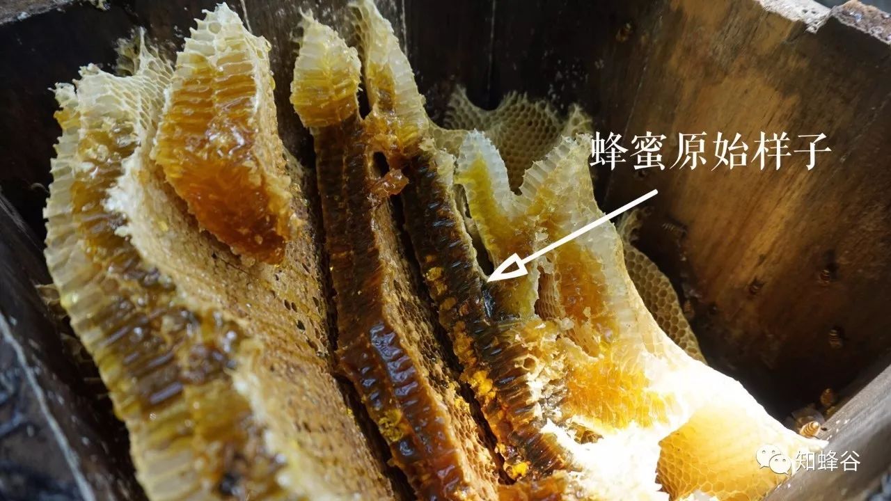 鍐滃铚傝湝娑﹁偤姝㈠挸,瀹㈠姝㈠挸铚傝湝