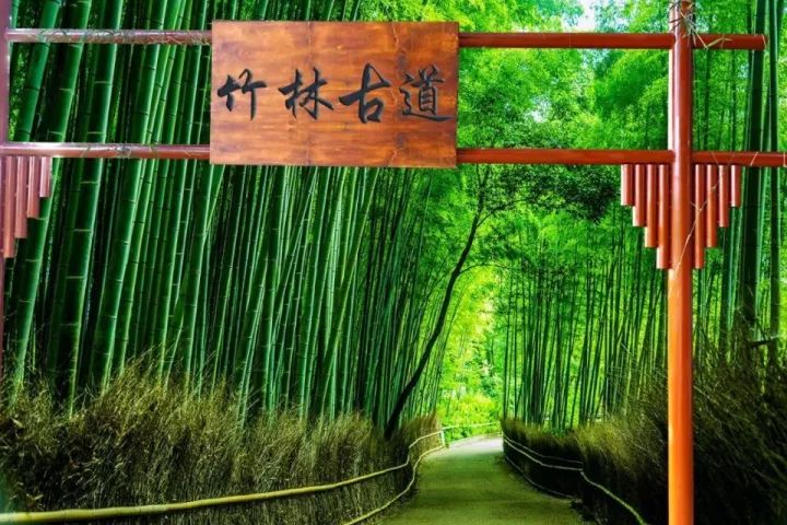 双十一光棍节活动主题,双十一光棍节图集